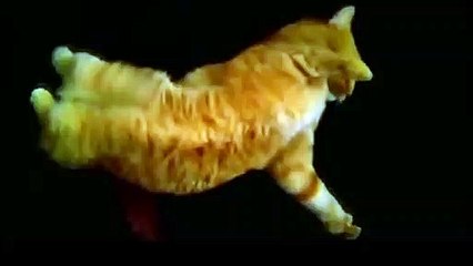 처인구출장안마 -후불100%ョØ1ØA7685A6221｛카톡PP888｝ 처인구전지역출장안마 처인구오피걸 처인구출장마사지 처인구안마 처인구출장마사지 처인구콜걸샵§∥∏