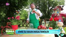 Sirkenin faydaları nelerdir? Erkan Şamcı #DoğalaDönüş'te anlatıyor