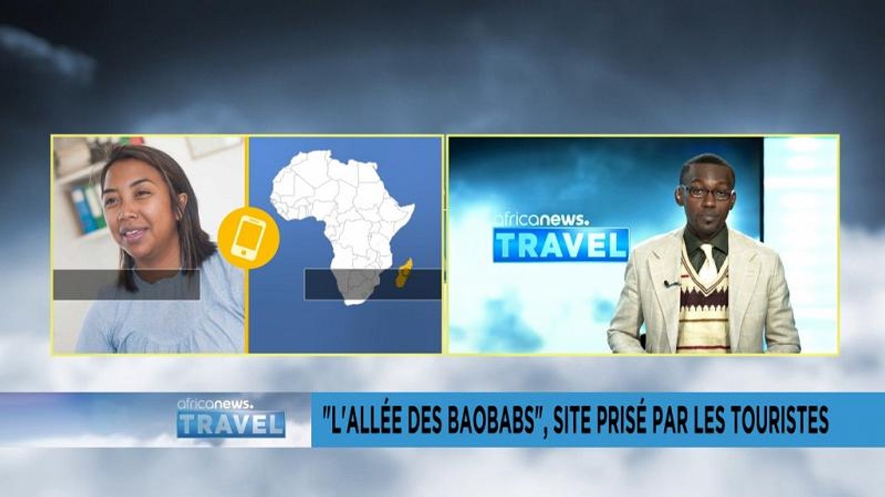 Madagascar : "l'Allée des Baobabs", un site prisé par les touristes