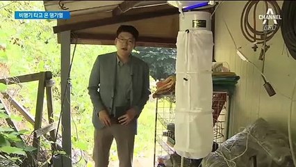 비행기 타고 왔나?…뎅기열 모기 발견에 인천공항 ‘비상’