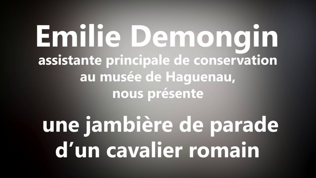 DNA - Les chefs d'oeuvre des petits musées : au musée de Haguenau, nous découvrons la jambière de parade de romain