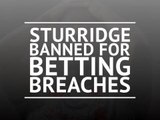 Sturridge banned for betting breaches