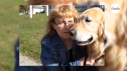 Le chauffeur voit une ombre bondir sur son bus : il freine de toute urgence, mais comprend qu’il est trop tard