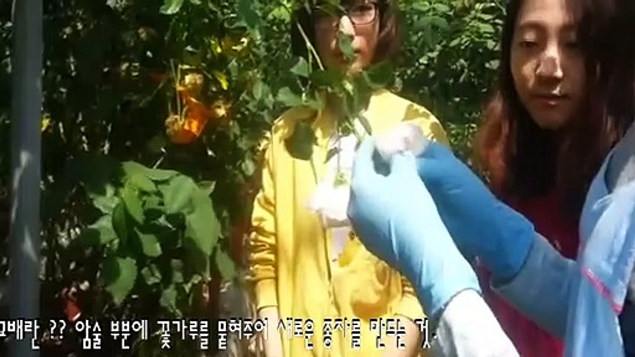 순천출장아로마≑순천출장안마 -후불100%ョØ7ØS7333S9649｛카톡LGT010｝ 순천전지역출장안마 순천오피걸 순천출장마사지 순천안마 순천출장마사지 순천콜걸샵みめも