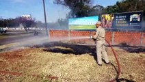 Bombeiros combatem incêndio ambiental na Avenida Rocha Pombo