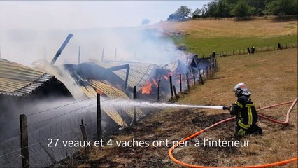 31 bovins tués dans l'incendie d'un bâtiment agricole