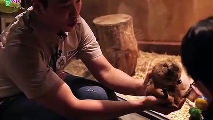 강화출장아로마≑강화출장안마 -후불100%ョØ1ØS2671S8135｛카톡AQ52｝ 강화전지역출장안마 강화오피걸 강화출장마사지 강화안마 강화출장마사지 강화콜걸샵ぐけぉ