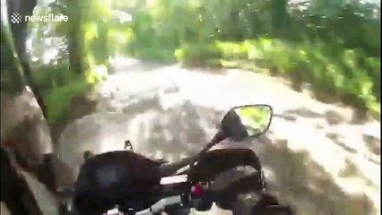 Dramatic footage shows motorcyclist dodge a head-on collision on UK road