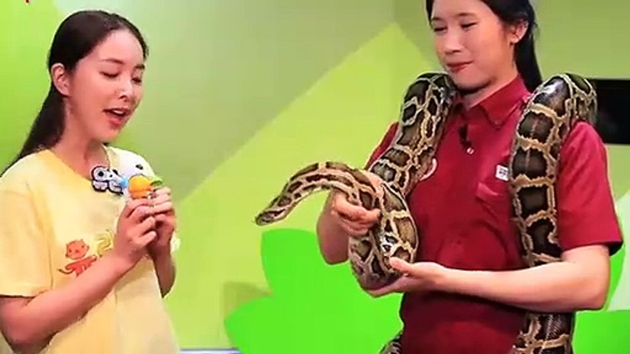 화천출장아로마≑화천출장안마 -후불100%ョØ1ØE2659E1768｛카톡KP93｝ 화천전지역출장안마 화천오피걸 화천출장마사지 화천안마 화천출장마사지 화천콜걸샵ろゎわ