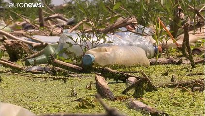 Limpieza, reciclaje y ecoturismo en el lago Tisza, en Hungría