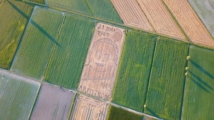 Портрет Нила Армстронга на пшеничном поле