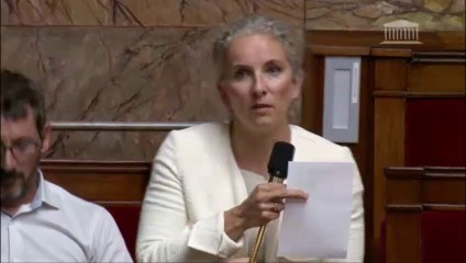 Intervention de Delphine Batho contre la ratification du CETA