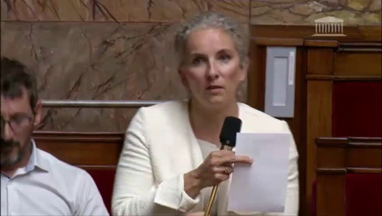 Intervention de Delphine Batho contre la ratification du CETA