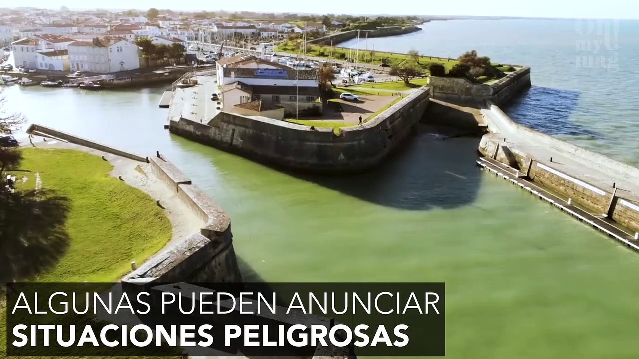 Si ves olas cuadradas en el mar.. ¡Huye! 15046-ES