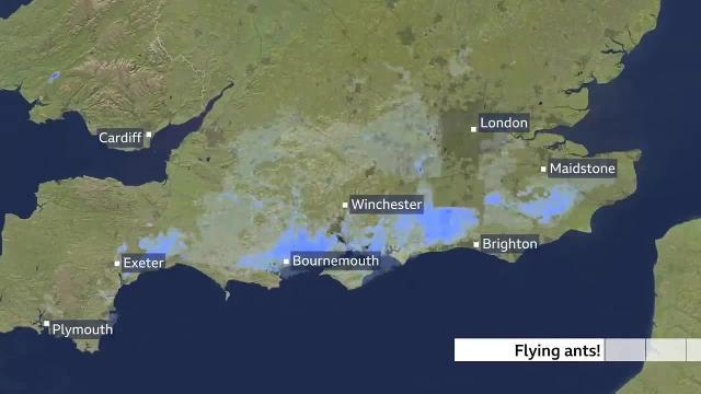 Flying ants picked up on radar as rain on BBC News