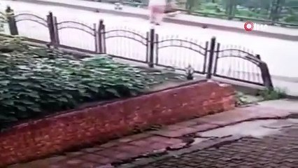 Köpeği dereye atan işçiye 'Hayvanlara Bakma' görevi