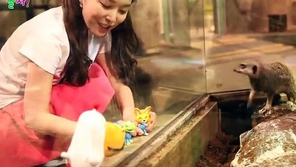 계룡출장안마 -후불100%ョØ7ØS7301S9649｛카톡LA666｝ 계룡전지역출장안마 계룡오피걸 계룡출장마사지 계룡안마 계룡출장마사지 계룡콜걸샵ェエォ