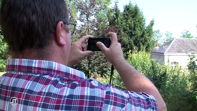 Le journal - 18/07/2019 - Les bateliers et pêcheurs inquiets pour la Loire au plus bas en Loir-et-Cher