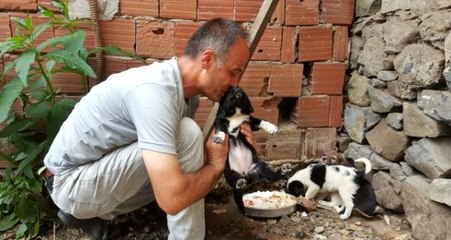 Köpeği dereye atan işçiye "Hayvanlara Bakma" görevi