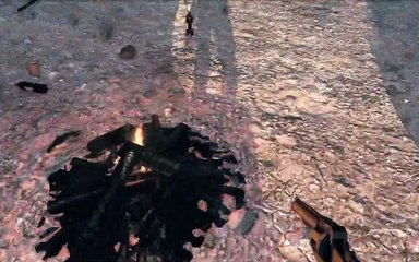 Zdzichu gra w "Call Of Juarez: Więzy Krwi" #9