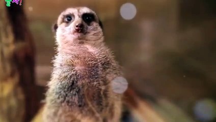 계양출장안마 -후불100%ョØ7ØA7575A0069｛카톡RD654｝ 계양전지역출장안마 계양오피걸 계양출장마사지 계양안마 계양출장마사지 계양콜걸샵パヒビ