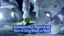 Scientists Figure Out Growing Food On Mars