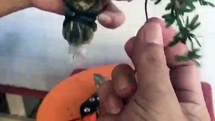 창녕출장안마 -후불100%ョØ1ØE6706E9275｛카톡ZU69｝ 창녕전지역출장안마 창녕오피걸 창녕출장마사지 창녕안마 창녕출장마사지 창녕콜걸샵ろゎわ