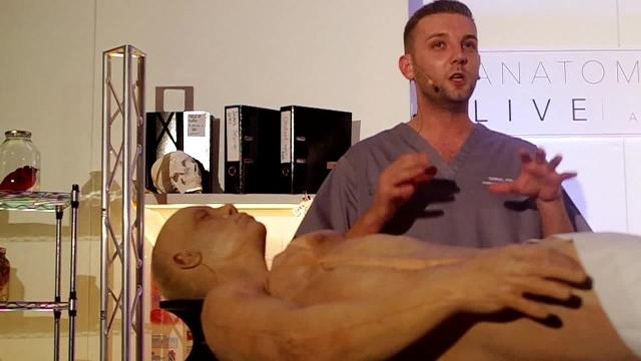 Anatomy Lab LIVE