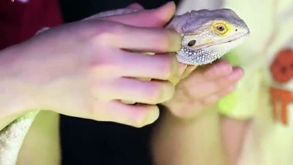 오산출장안마 -후불100%ョØ7ØA7575A0062｛카톡DK654｝ 오산전지역출장안마 오산오피걸 오산출장마사지 오산안마 오산출장마사지 오산콜걸샵◐▤▥