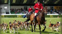 July 10-12 marks the 160th anniversary of the Great Yorkshire Show, which will take place in Harrogate.