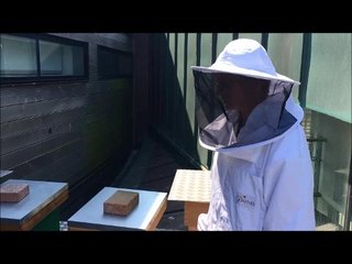 Worthing Honey Collective