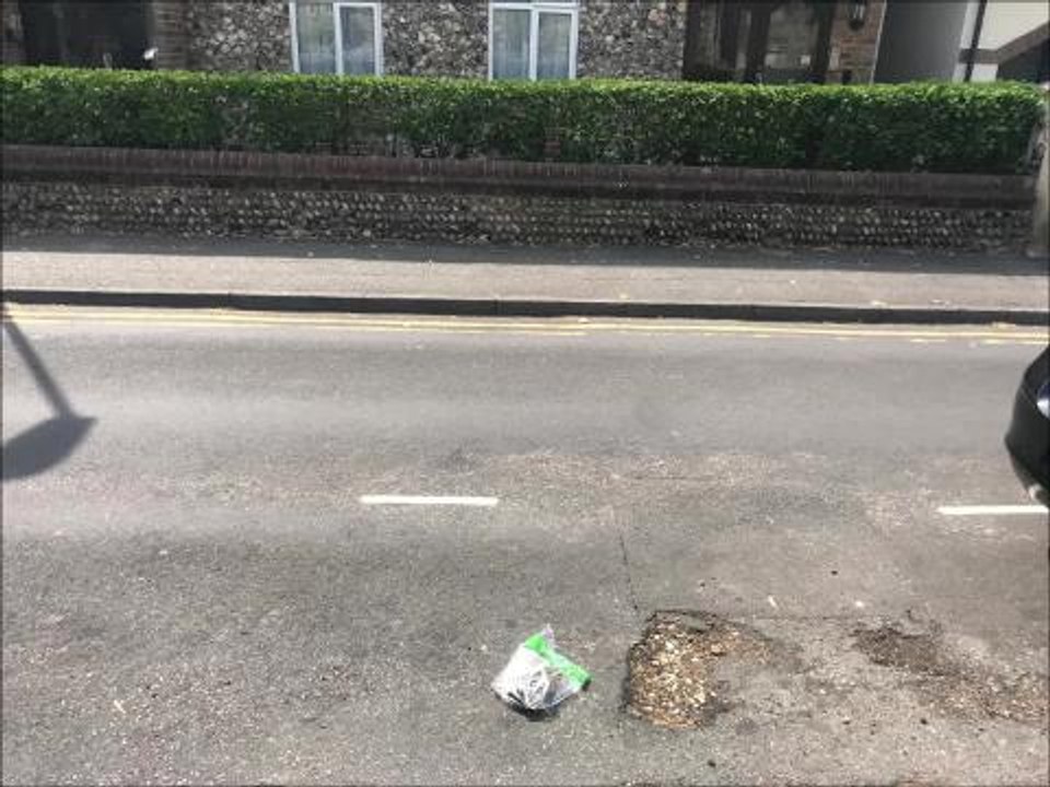 Hedgehog found dead in Worthing