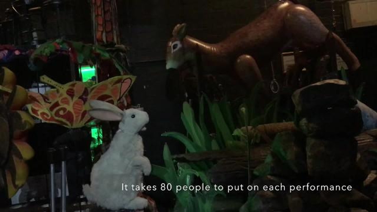 Shrek - Behind the scenes