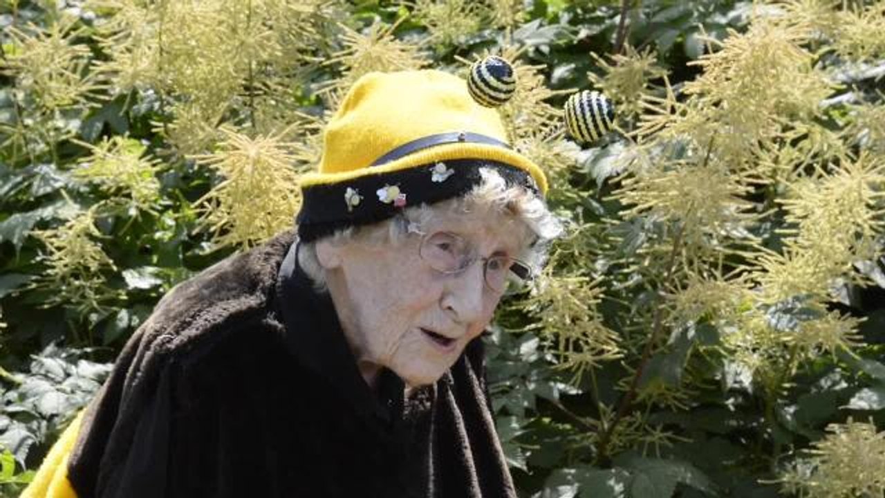 Bee Lady at Sewerby
