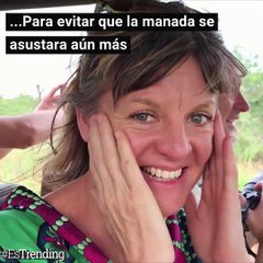 Todo iba bien en este safari, hasta que una manada de elefantes hizo todo aterrador...