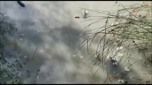 Leighton Buzzard pond replenished by firefighters