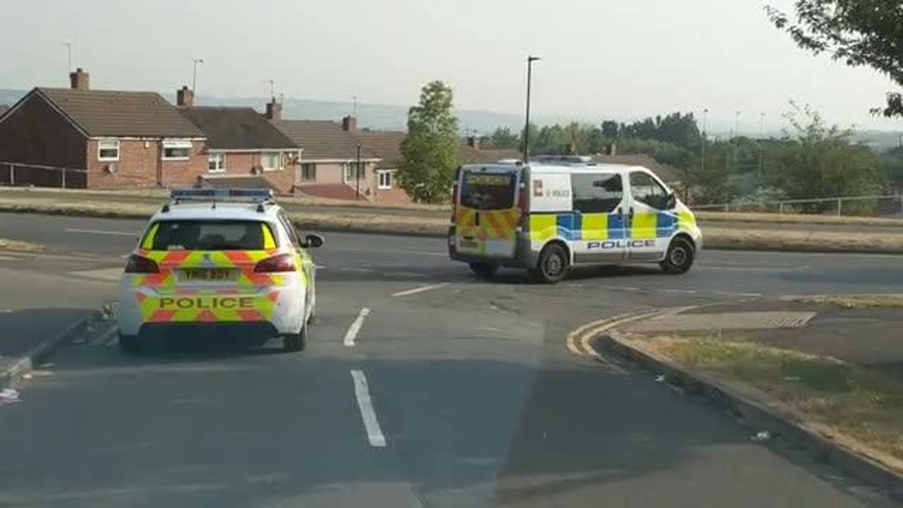 VIDEO: Drugs warrant executed in Sheffield
