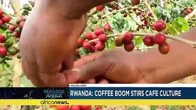 Guinée-Équatoriale : le pétrole et le gaz attirent