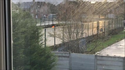 Preston Family's anti-social behaviour hell