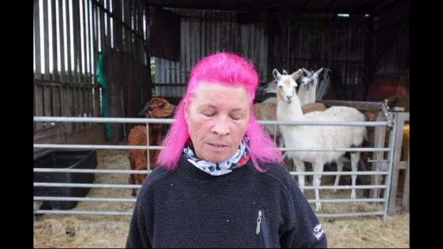 Dementia farm overrun by travellers for three weeks