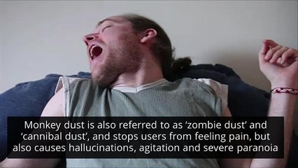 Monkey Dust_ What is This New Illeagal High_ - HIRES