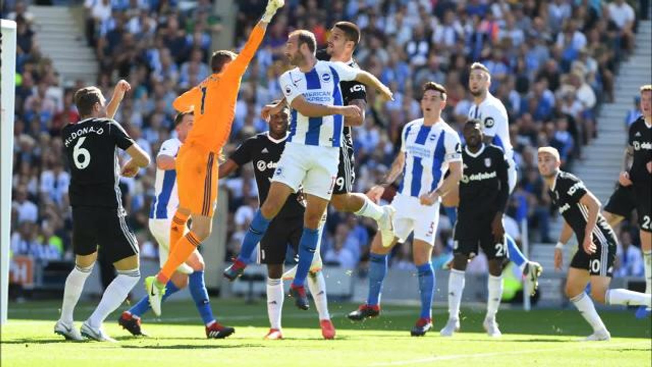 Brighton v Fulham picture gallery
