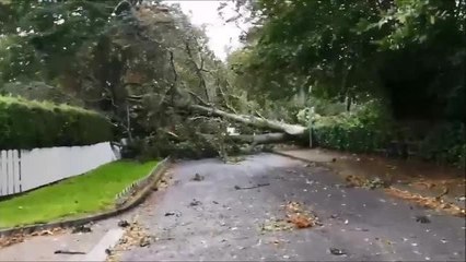 Lurgan College Storm Ali JPNI