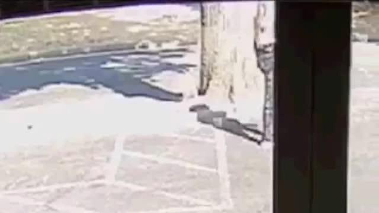 Lucy McHugh murder