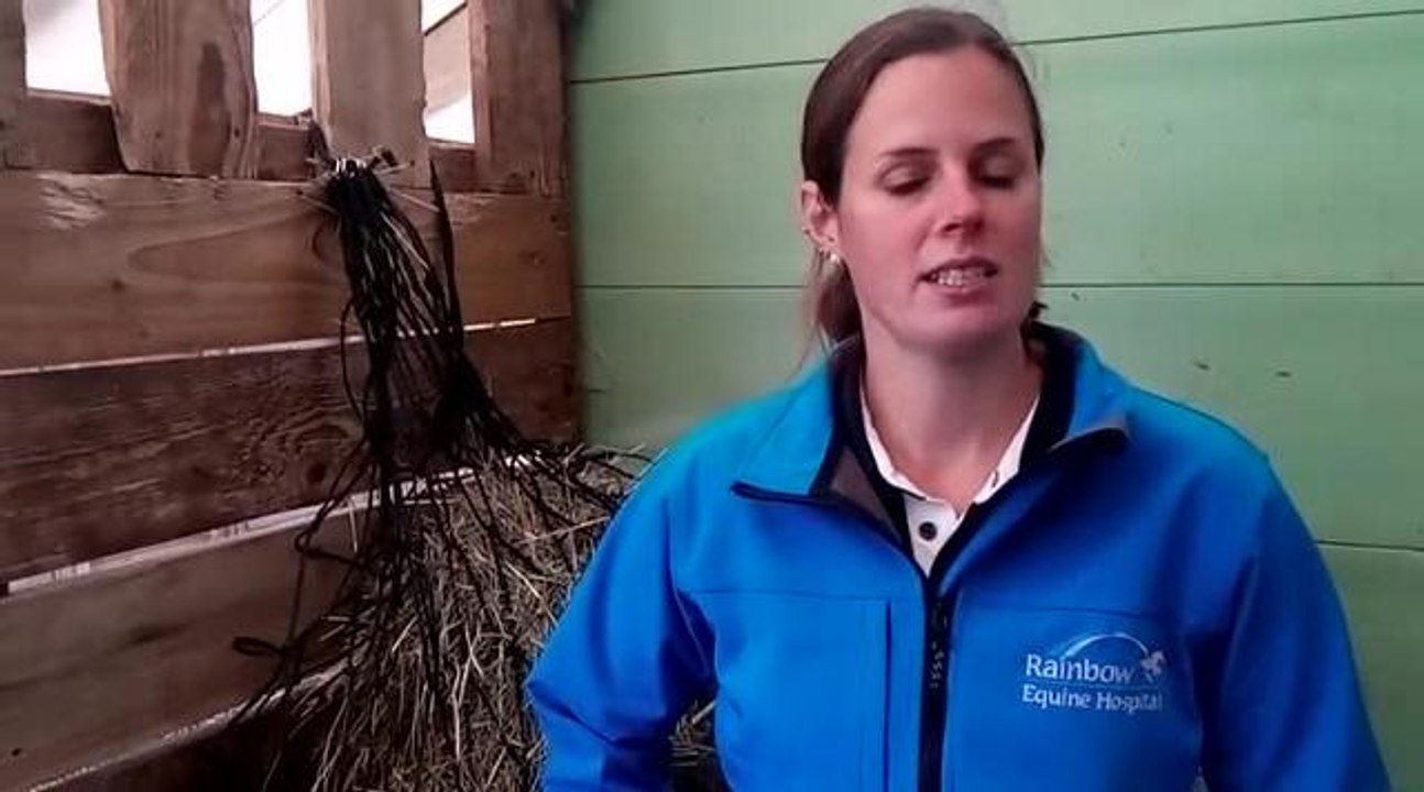 Cinders injured pony back in health