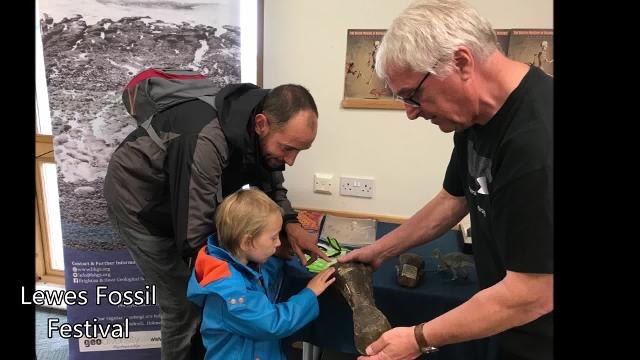 A jurassic world was created for Lewes Fossil Festival
