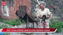 Yavru köpeği dereye atan işçinin cezası belli oldu