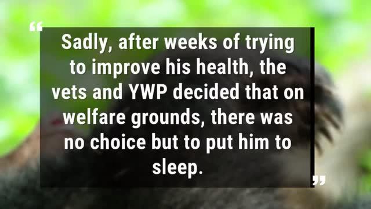 Yorkshire Wildlife Park boss named among Britain's top 50 business leaders