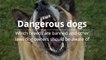 Dangerous Dogs - Which Breeds are Banned and Other Laws Dog Owners Should Be Aware Of