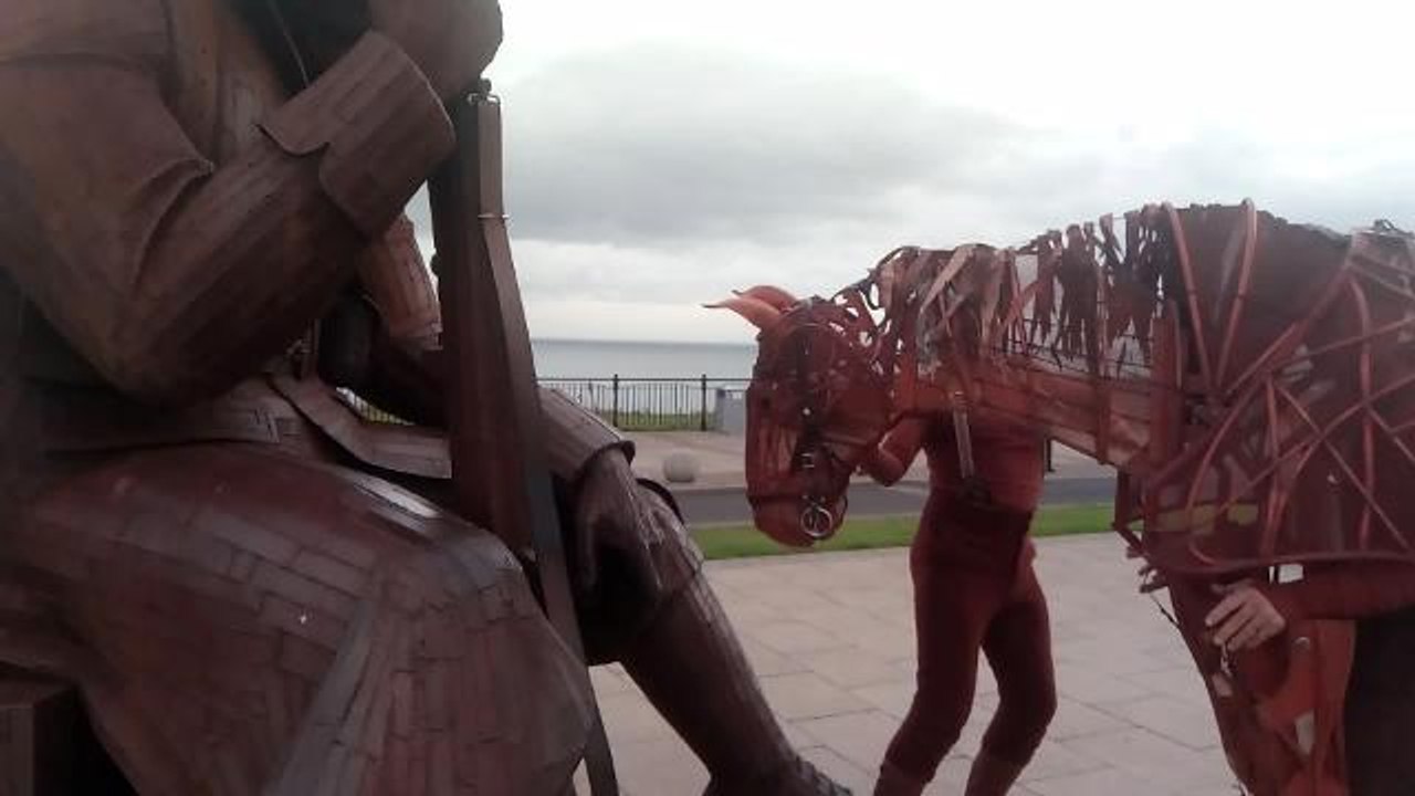 Joey war horse